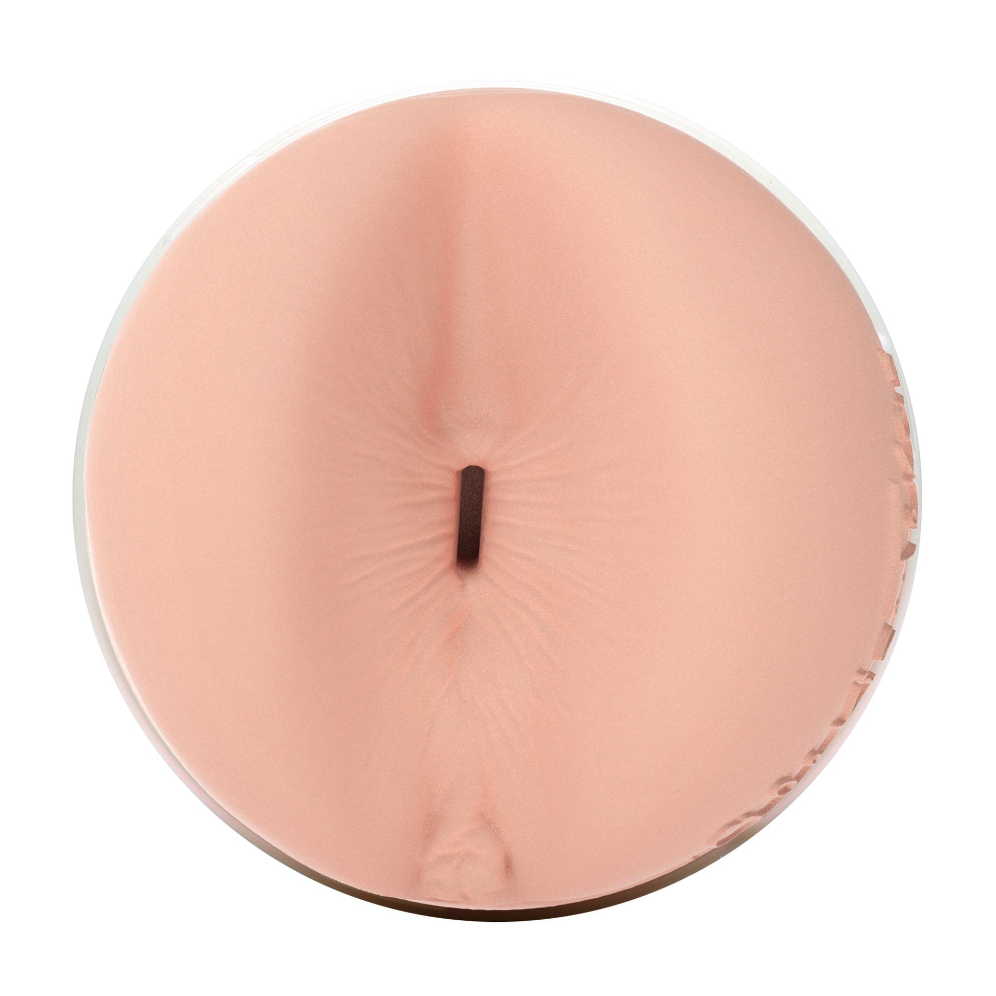Alexis Texas Fleshlight Tornado (Butt) With Case Fleshlight