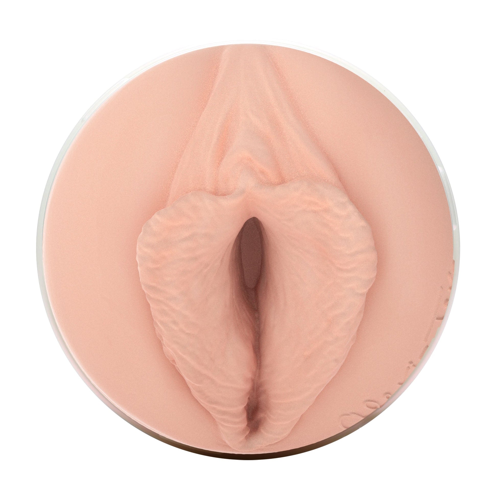 Alexis Texas Fleshlight Outlaw (Lady) With Case Fleshlight