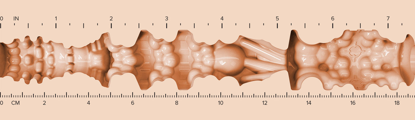 Mia-Mouth-Texture-Ruler.jpg