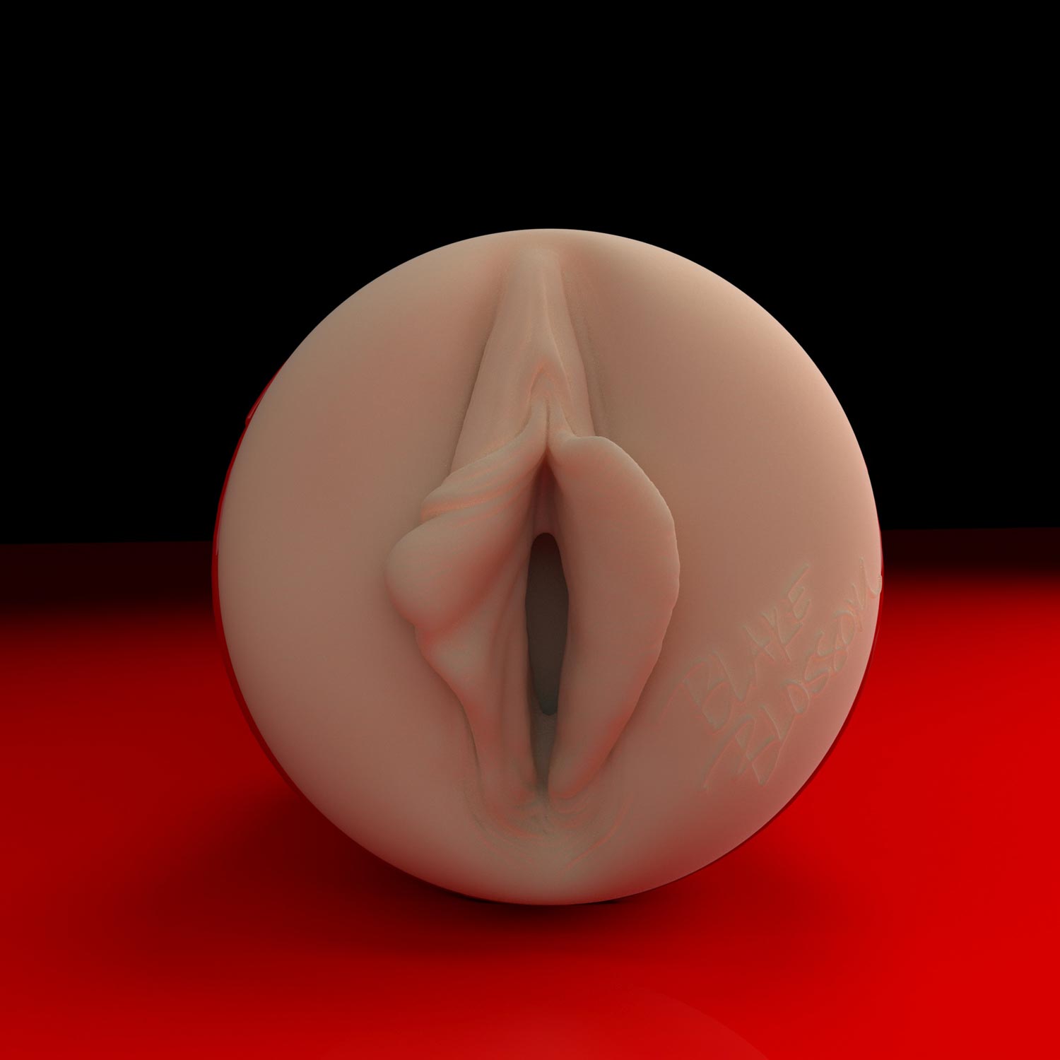 blake-blossom-rickys-room-edition-stroker-fleshlight-1676925_fd377c9c-b51c-489c-a2df-2f10493aafdf.jpg